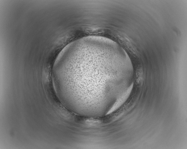 X0000115380515200911171438