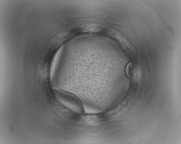 X0000115380517200911171438