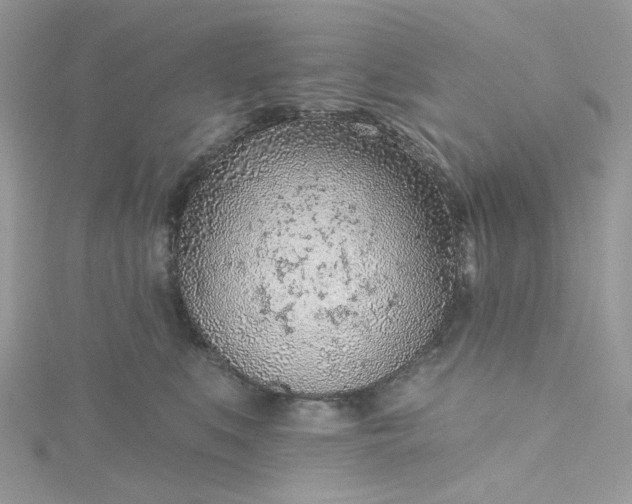 X0000115380519200911171438