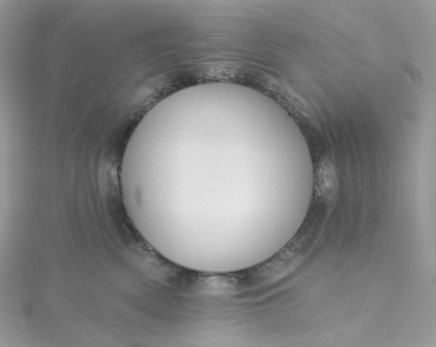 X0000115380522200911171438