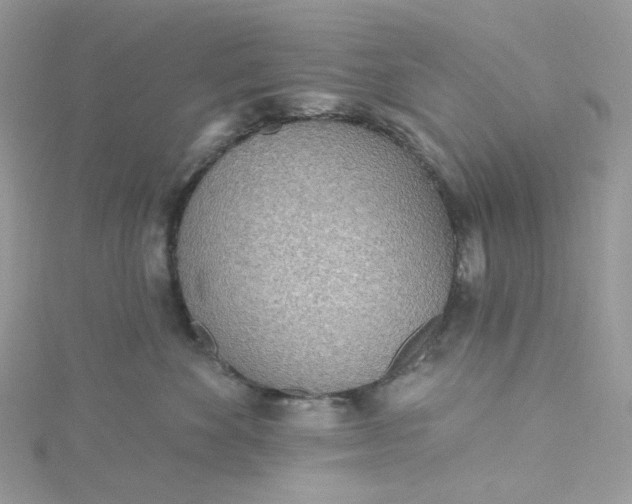 X0000115380524200911171438