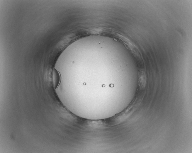 X0000115380525200911171438