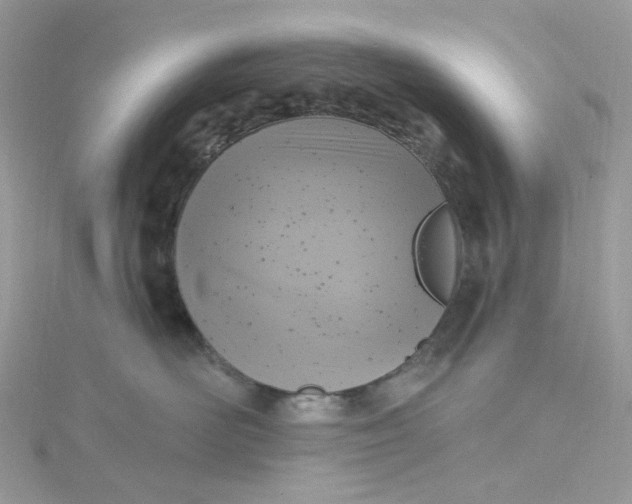 X0000115380526200911171438