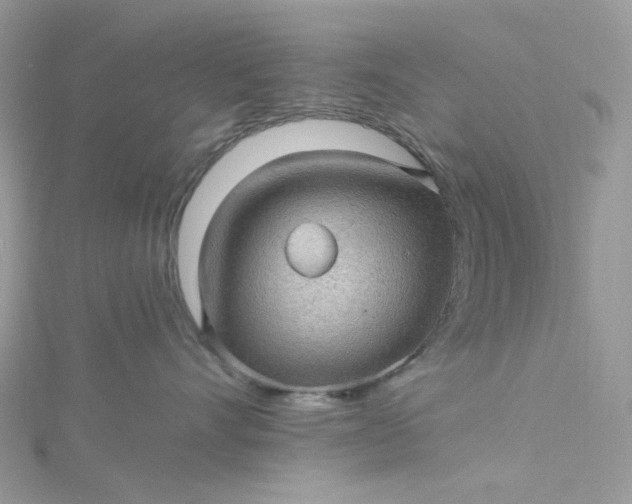 X0000115380528200911171438