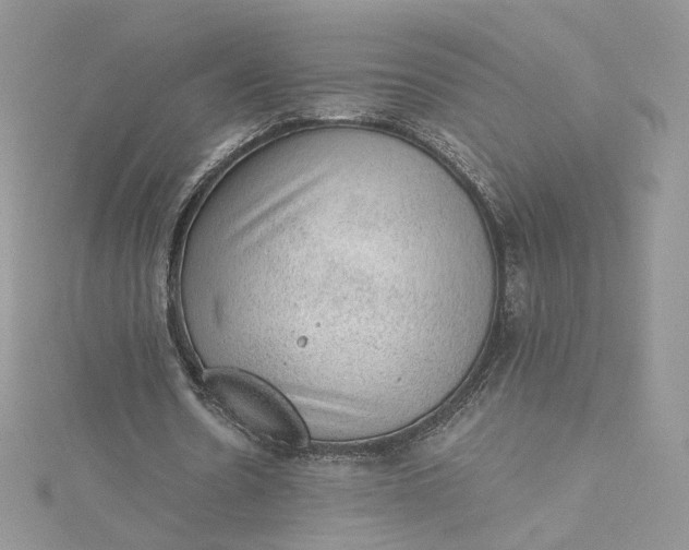 X0000115380530200911171437