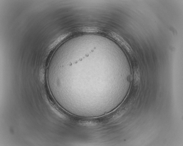 X0000115380533200911171437