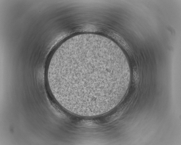 X0000115380534200911171437