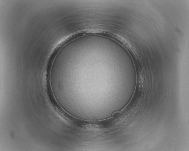 X0000115380535200911171437