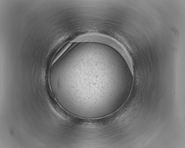 X0000115380538200911171437