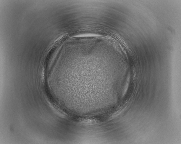 X0000115380542200911171437