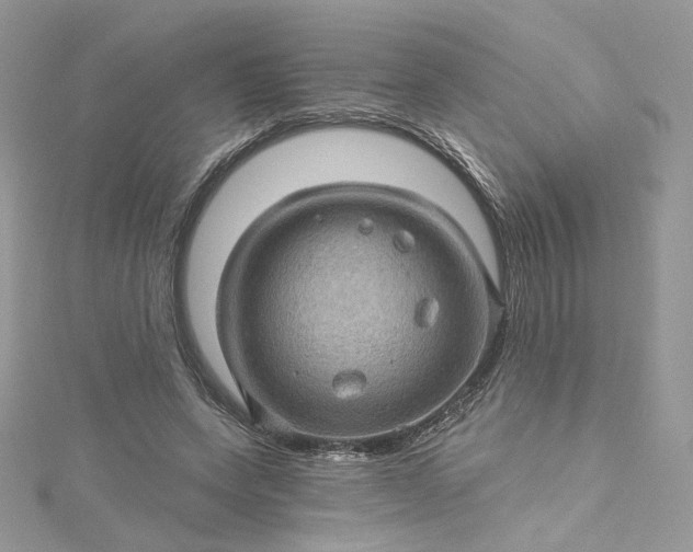 X0000115380543200911171437