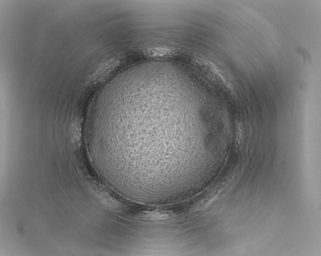 X0000115380545200911171437