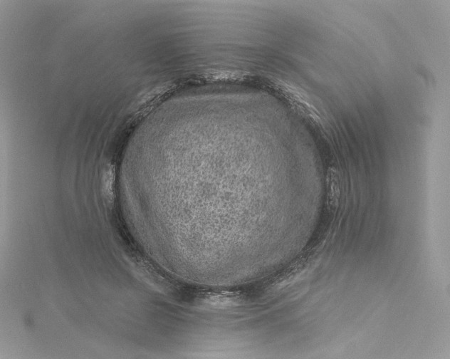 X0000115380550200911171437