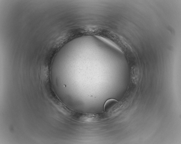 X0000115380563200911171438