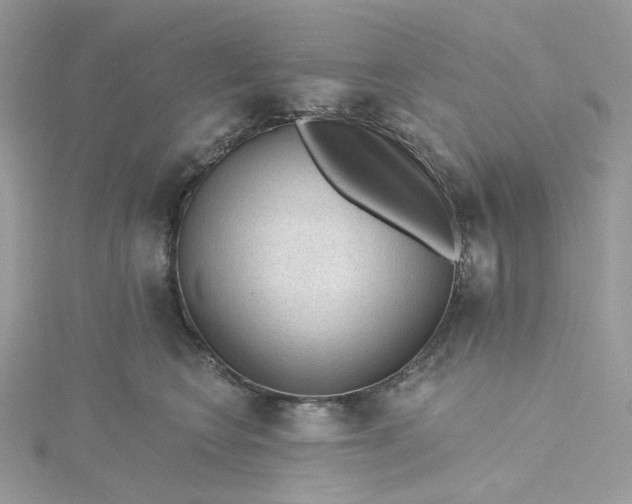 X0000115380566200911171438