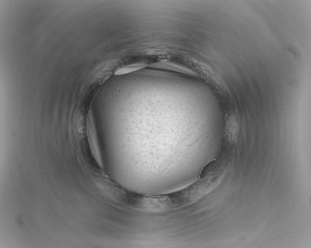 X0000115380571200911171438