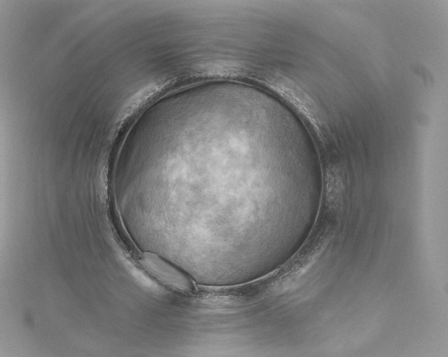 X0000115380581200911171437