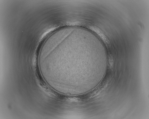 X0000115380583200911171437