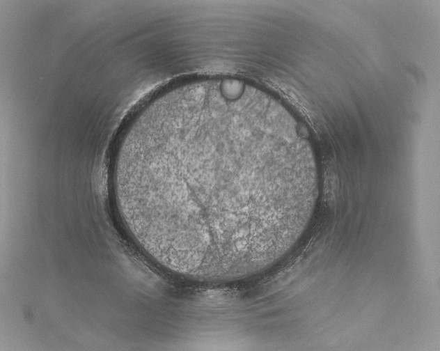 X0000115380584200911171437