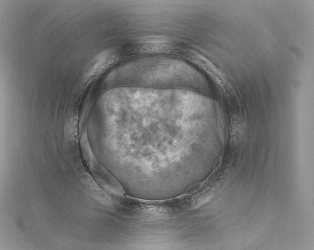 X0000115380585200911171437