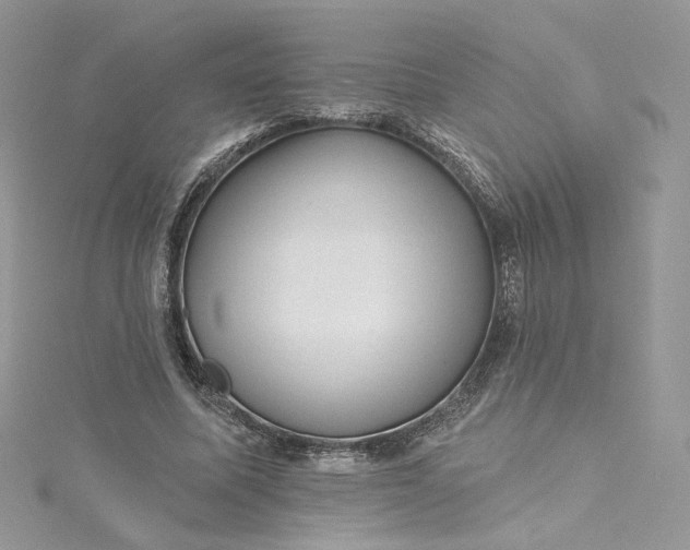 X0000115380587200911171437