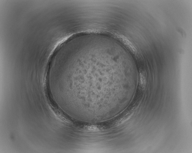 X0000115380588200911171437