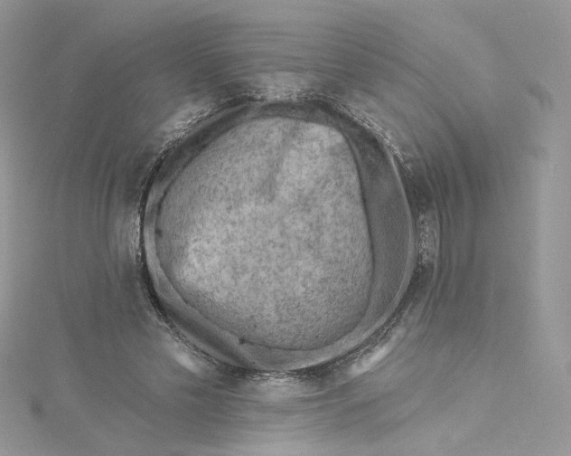 X0000115380589200911171437