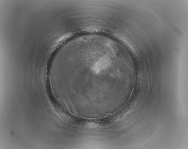 X0000115380592200911171437