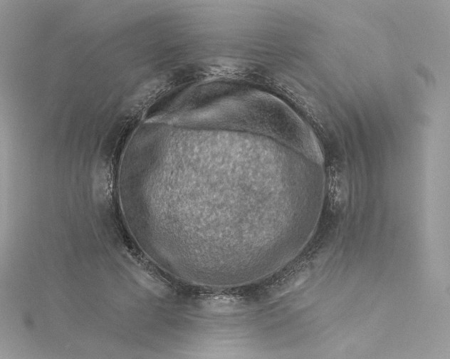 X0000115380593200911171437