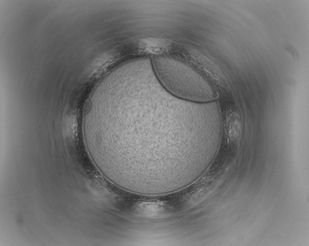 X0000115380595200911171437