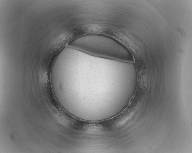 X0000115380597200911171437