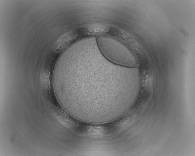 X0000115380599200911171437