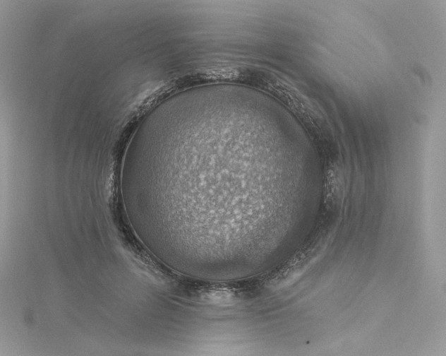 X0000115380600200911171437