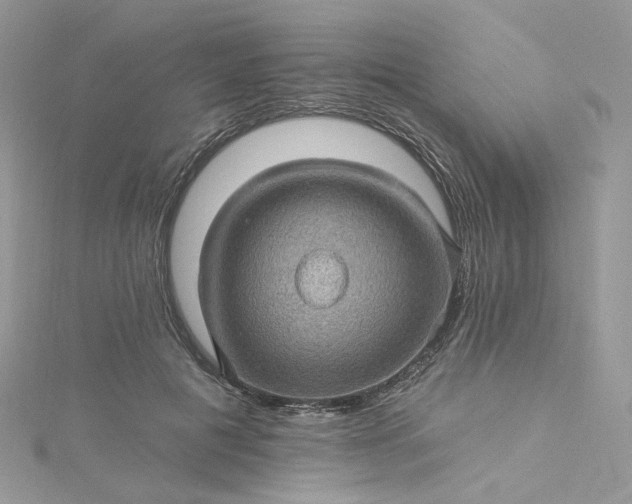 X0000115380601200911171437