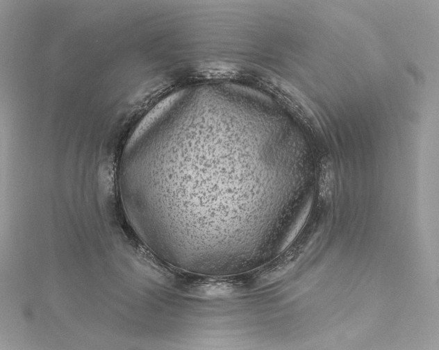 X0000115380604200911171437