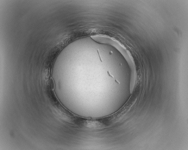 X0000115380605200911171437