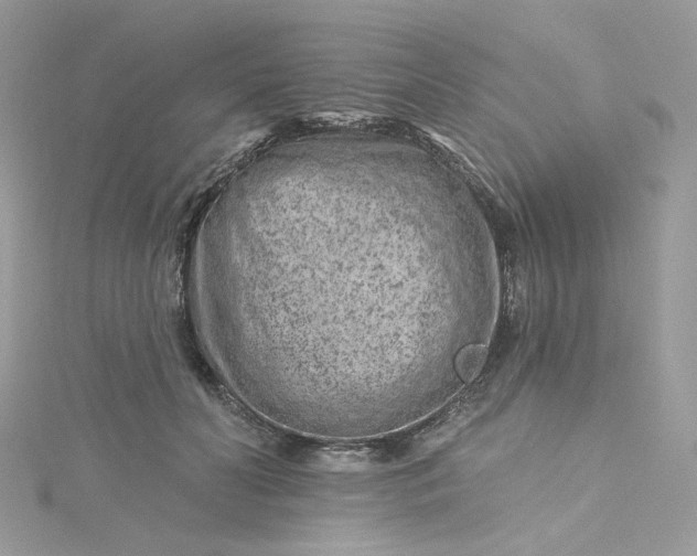 X0000115380606200911171437