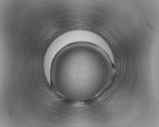 X0000115380609200911171437