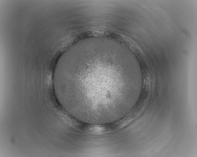 X0000115380610200911171437