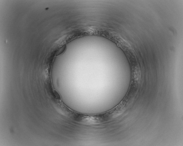 X0000115380611200911171437