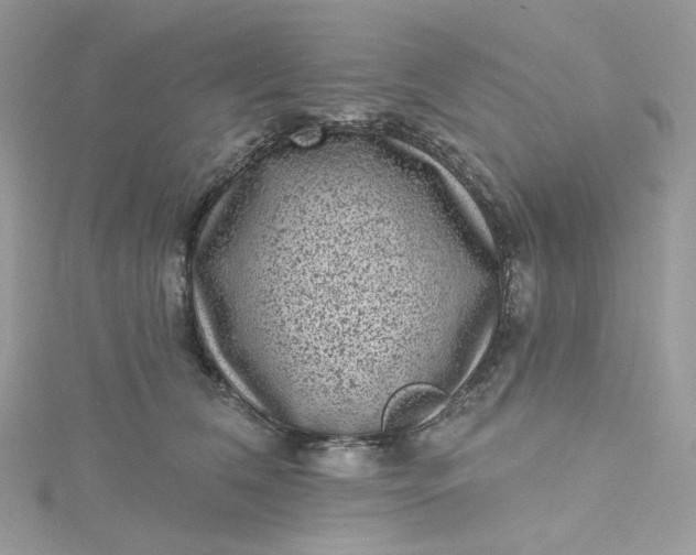 X0000115380612200911171436