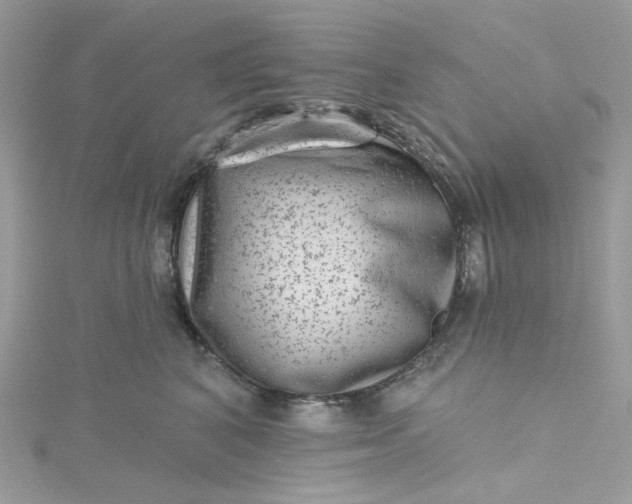 X0000115380616200911171436