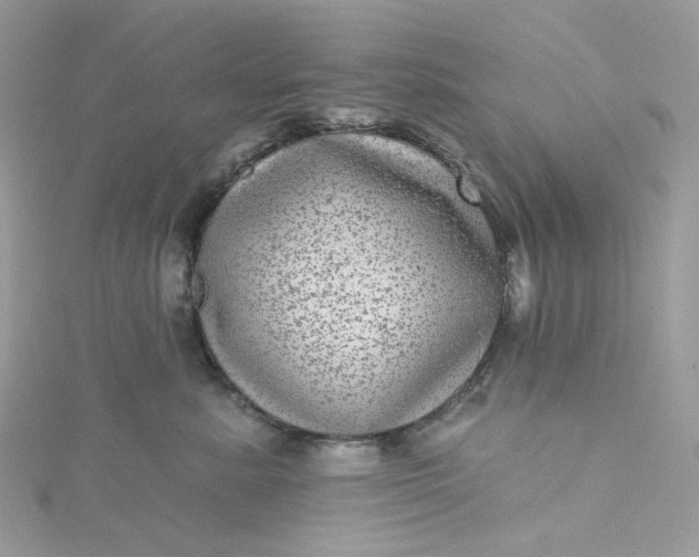 X0000115380619200911171436