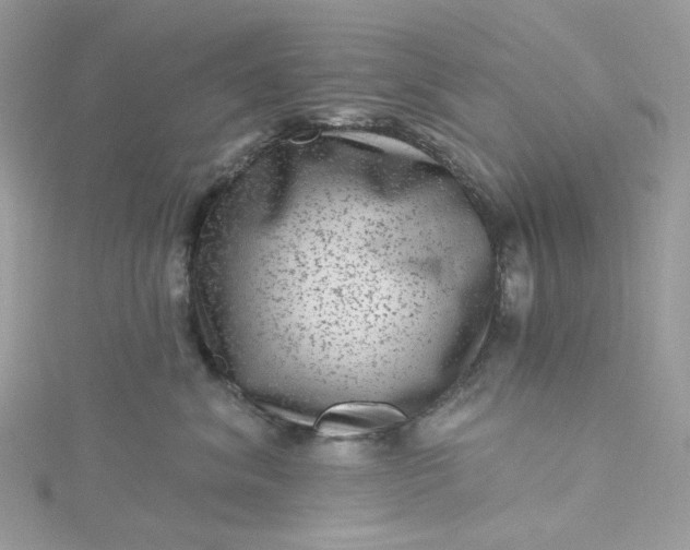 X0000115380620200911171436