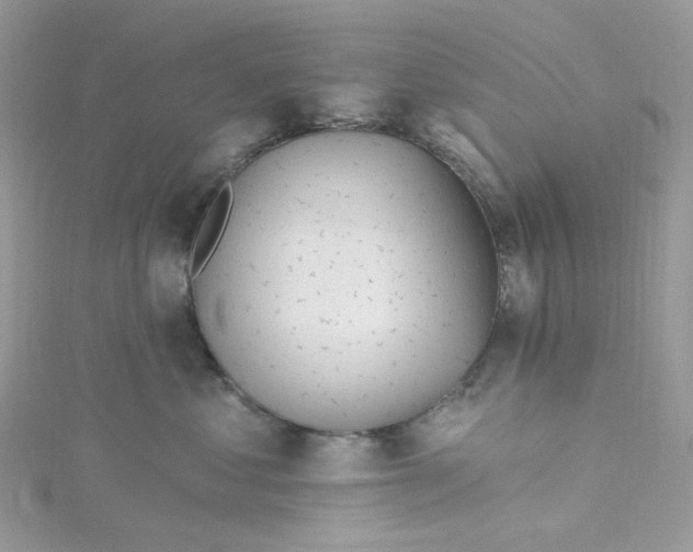 X0000115380621200911171436