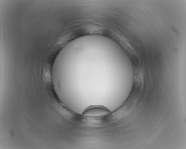 X0000115380622200911171436