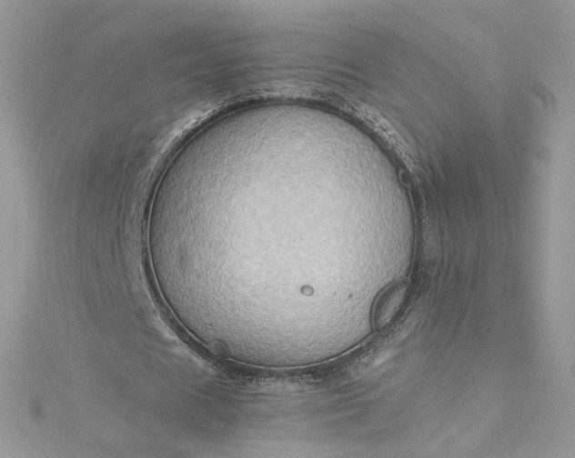 X0000115380625200911171436