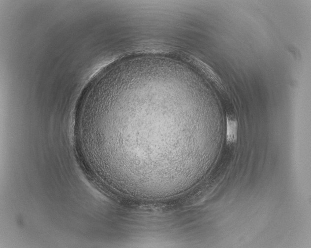 X0000115380627200911171436