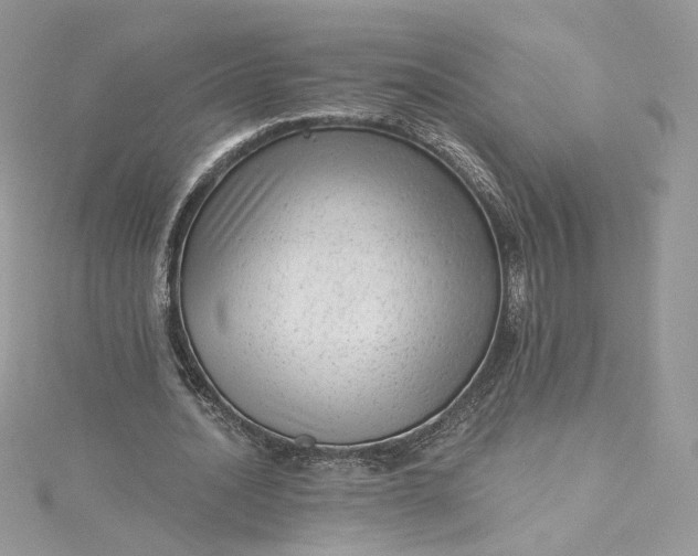 X0000115380628200911171436