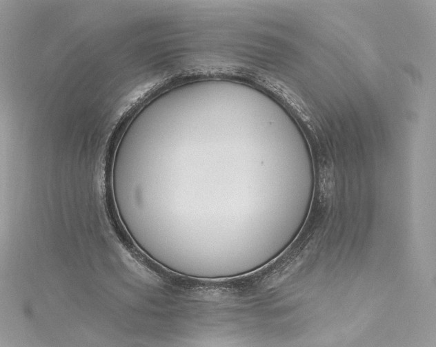 X0000115380629200911171436